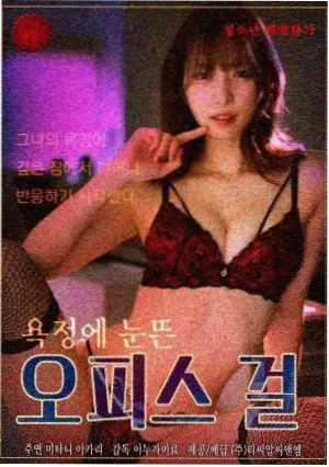 厨房里的春天剧集封面